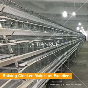 Qingdao Hot Selling A Frame Automatic Poultry Layer Equipment
